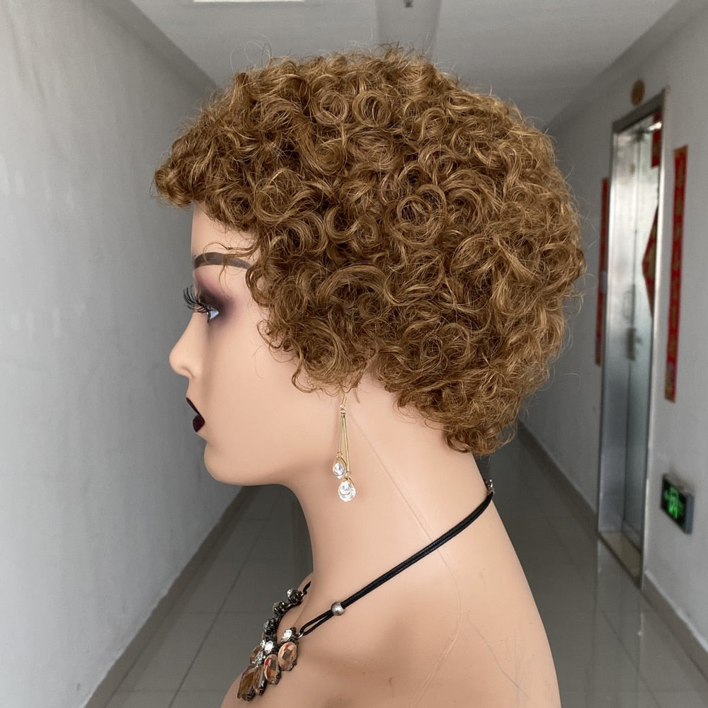 Cheap Pixie Cut Short Curly Human Hair Wig For Black Women Remy Brazilian Hair Colored Human Hiar Wig Afro Curl Short Human Wig