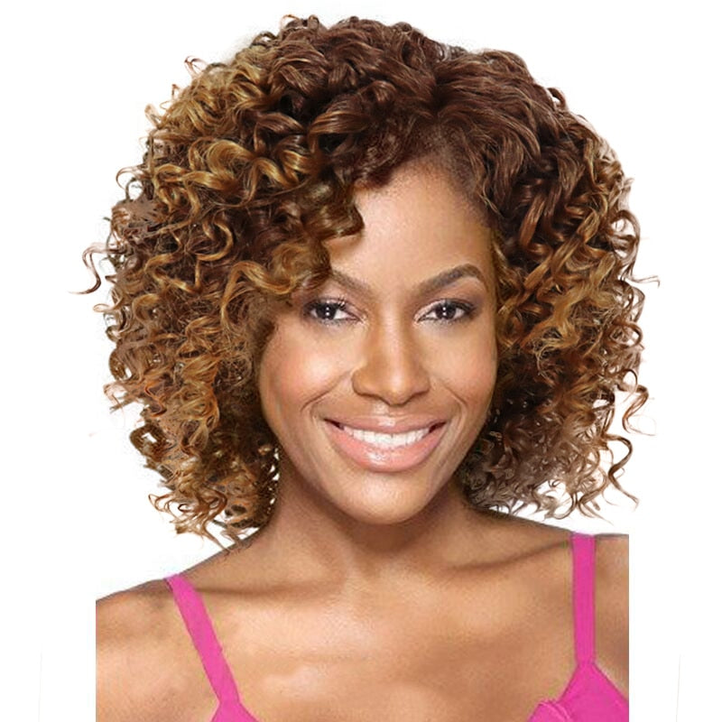GNIMEGIL Synthetic Curly Wig Female Natural Kinky Afro Wigs for Black Women Dark Brown Hair Curl African American Wig for Woman